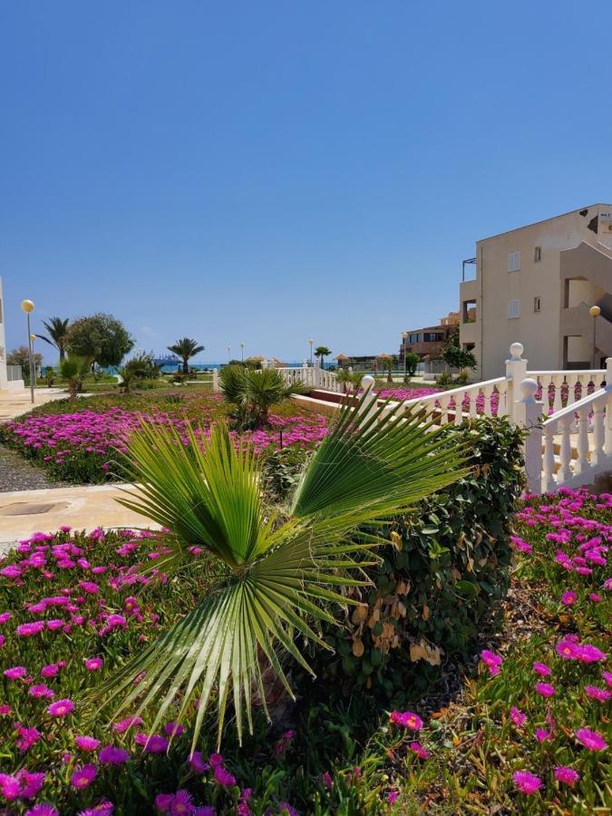 Casa Baja Naturista Con Patio En Primera Linea De Playa Con Piscina Comunitaria! Vera Exterior foto